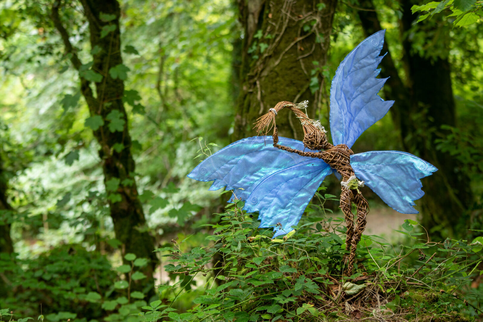 A blue butterfly is in the middle of a forest.