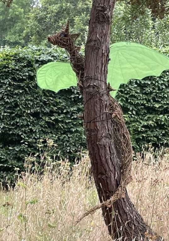 A tree with a green umbrella in the background.