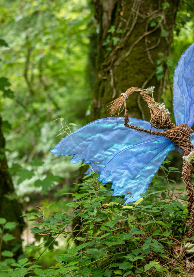 A blue butterfly is in the middle of a forest.