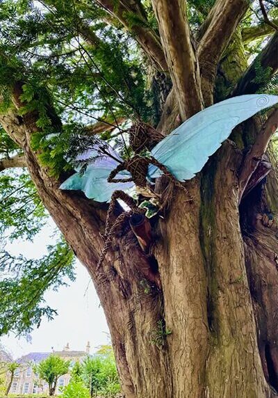 A tree with an umbrella on it's trunk.